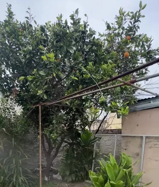 Estado del patio y la construcción existente